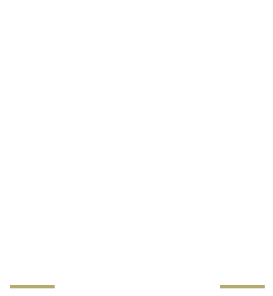 The Wild Mushroom